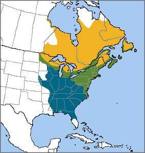 American Black Duck range map, NatureServe