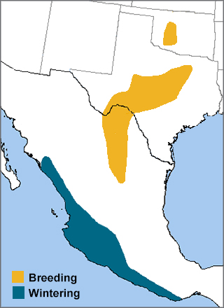 Black-capped Vireo range map by ABC